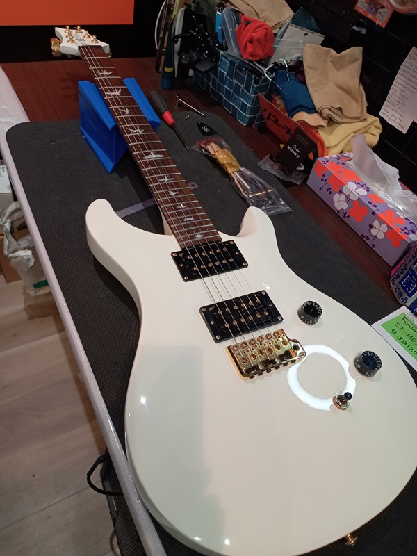 P.R.S.  SE Dave Navarro Beveledの画像